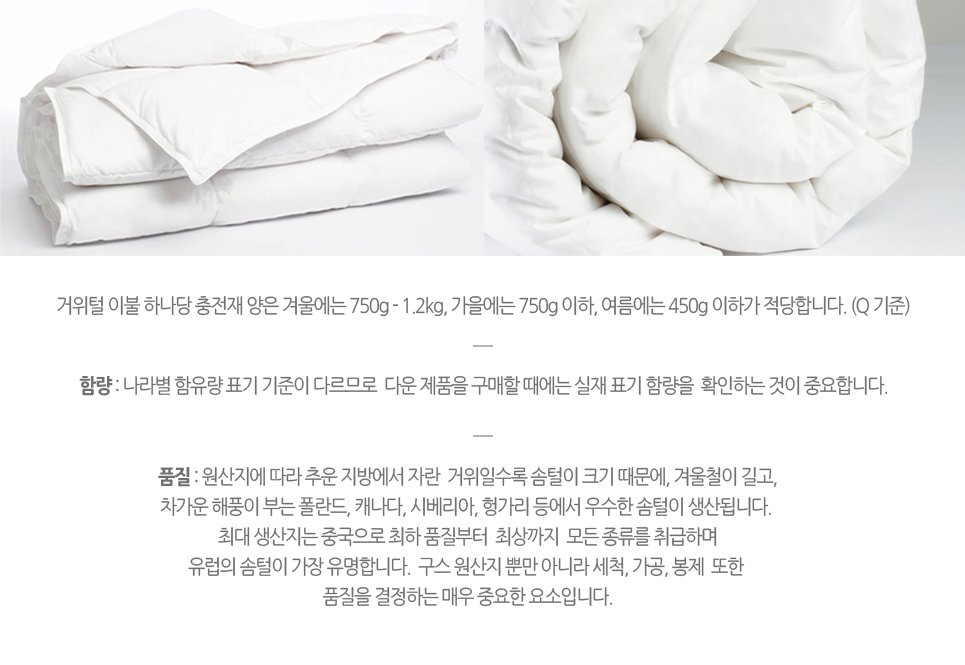 구스다운 이미지